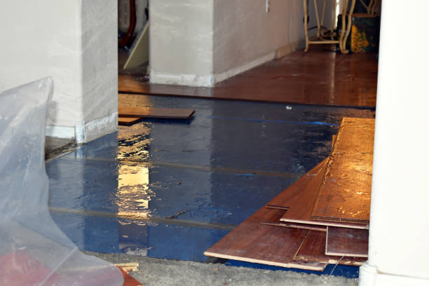 Professional Basement Flood Cleanup technician working in Albany, OH